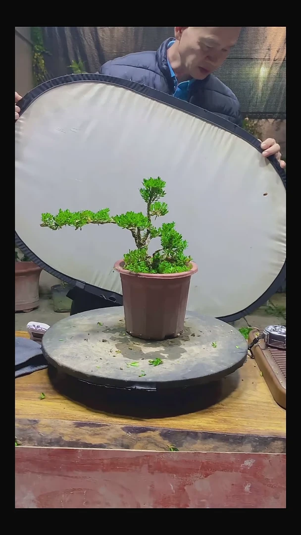 完全开放荖*℡11111111111