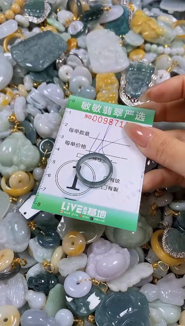 【闪购商品】翡翠颈饰未镶嵌闪购0098719