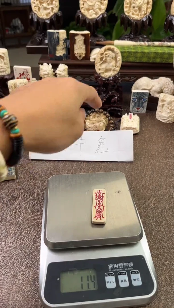 手串/手链/手镯猛犸象牙11111