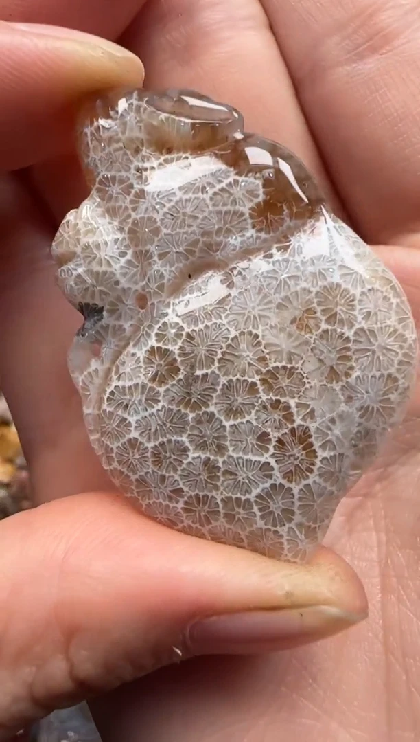 【闪购商品】硅化珊瑚（珊瑚玉）颈饰未镶嵌350