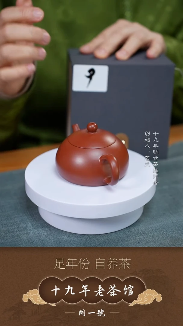 茶壶紫砂宜兴原矿紫砂壶9号