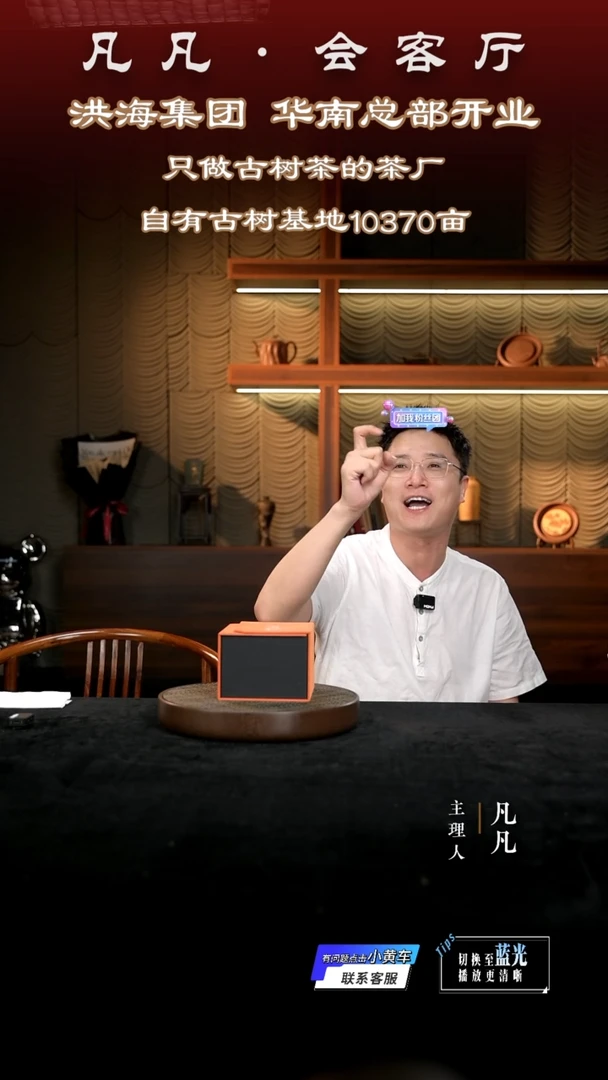 茶壶紫砂凡凡会客厅 紫砂壶01