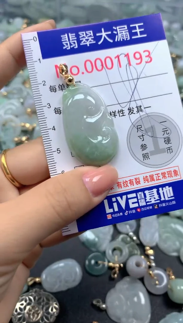 颈饰未镶嵌翡翠1193