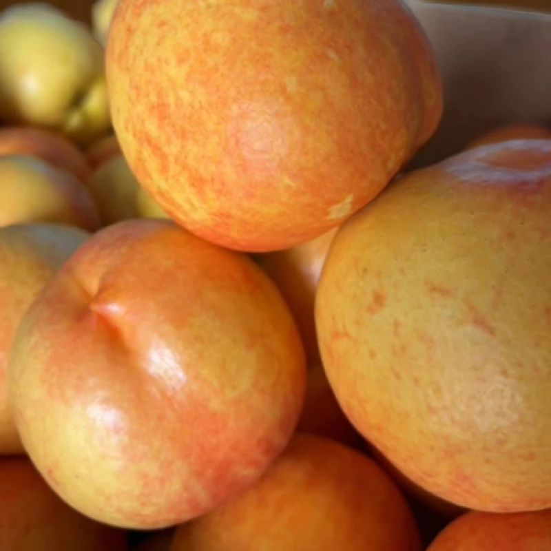 黄油桃新鲜应当季水果5斤酸甜京东包邮