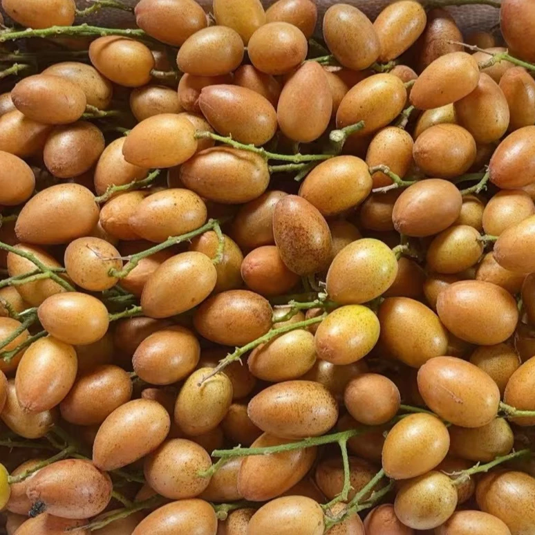 6、省内(特级果)正宗郁南鸡心黄皮新鲜采摘酸酸甜甜粒粒饱满