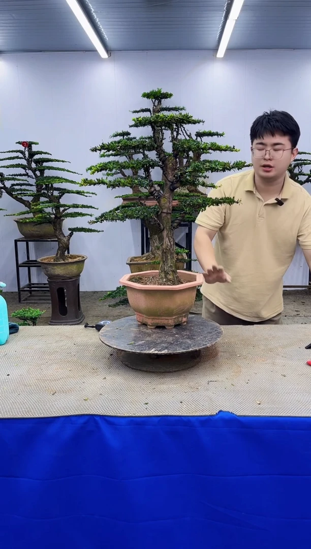 无花朵一物一拍，所见即所得