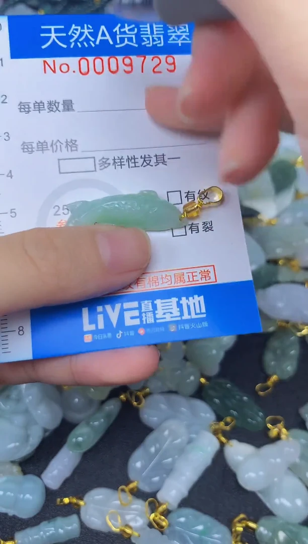 颈饰未镶嵌翡翠净货挂件-9729