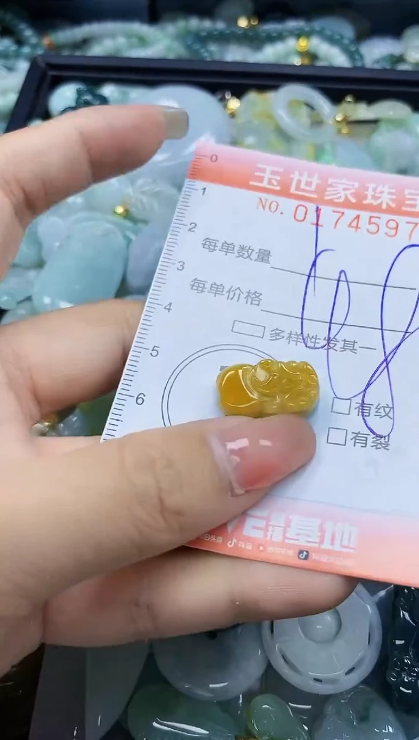 【闪购商品】翡翠颈饰未镶嵌闪购0174597