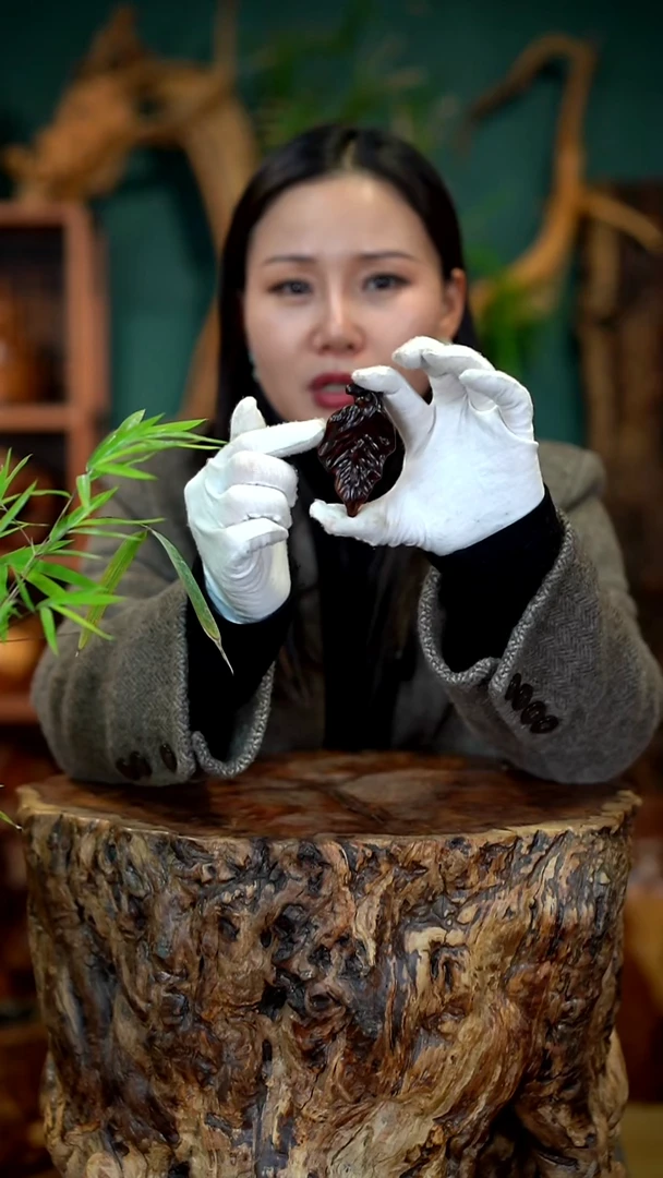 木雷击枣木大叶有成