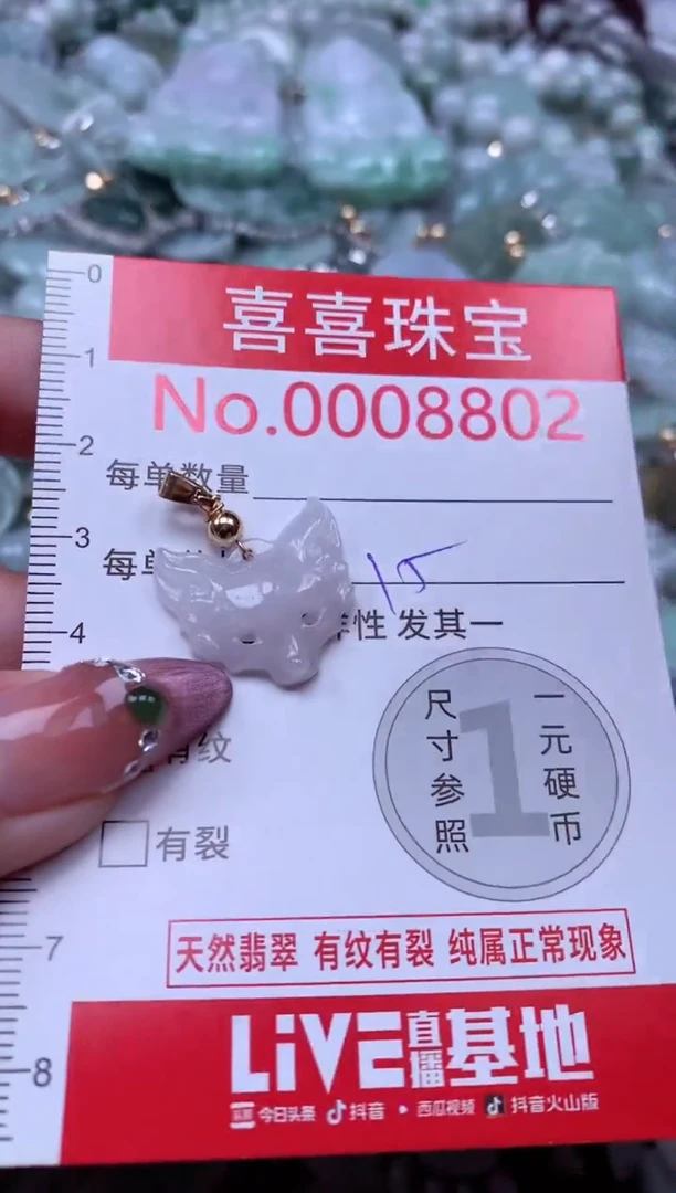 颈饰未镶嵌翡翠8802