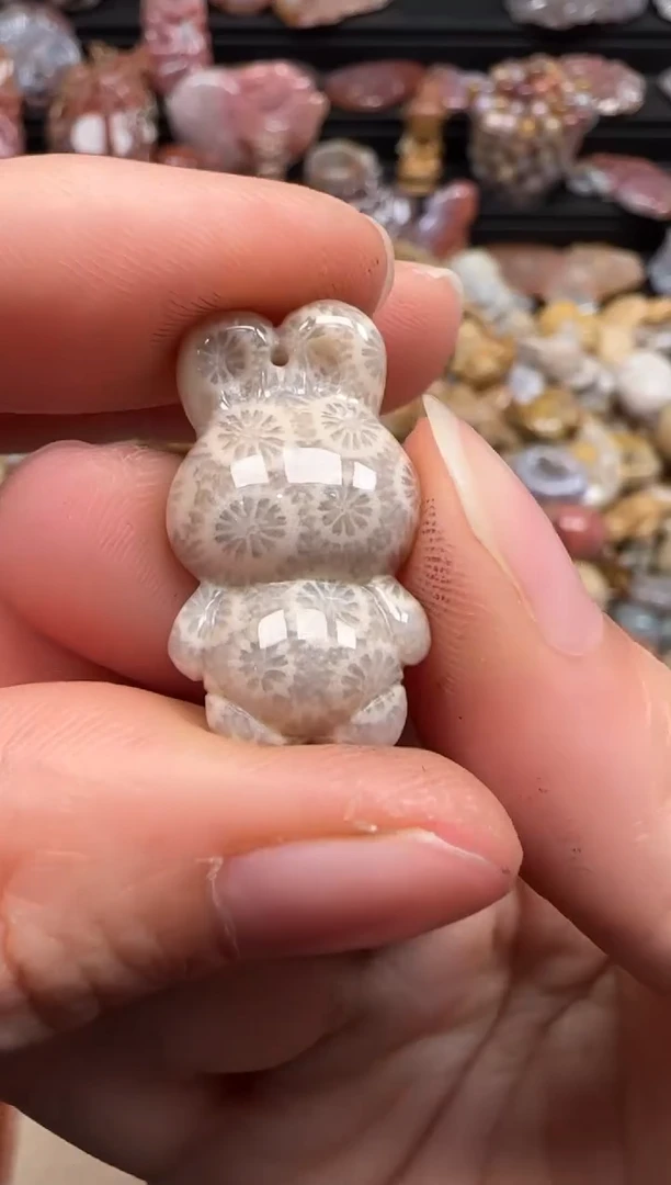 【闪购商品】硅化珊瑚（珊瑚玉）颈饰未镶嵌153