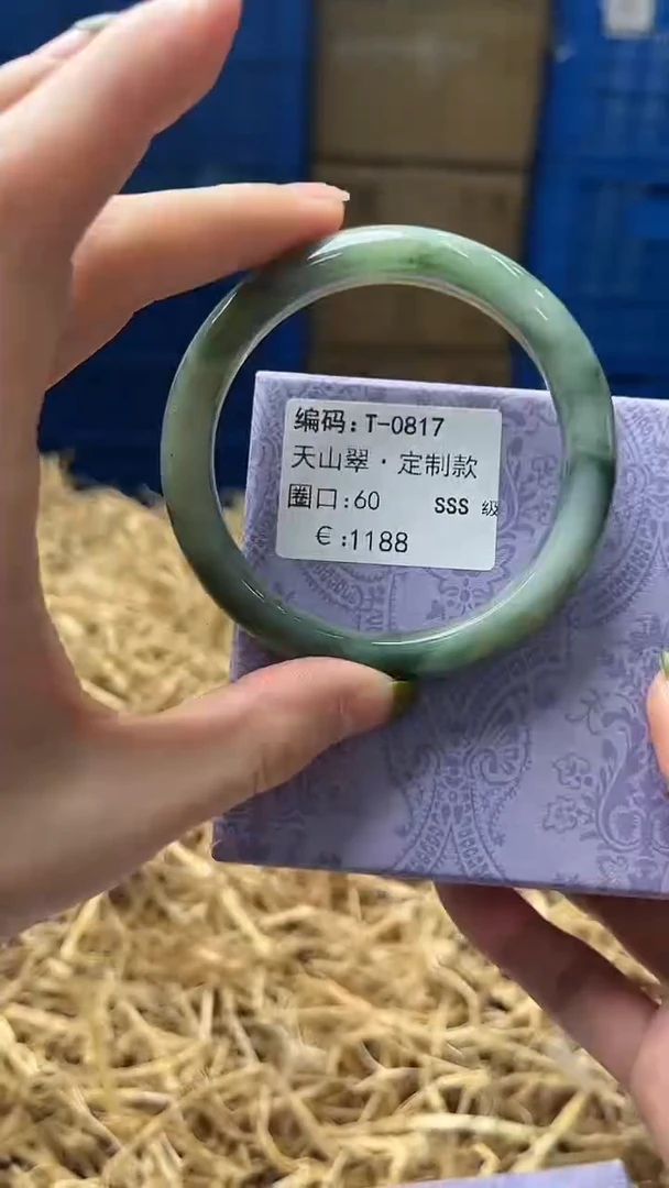 未镶嵌手镯石英质玉T0817