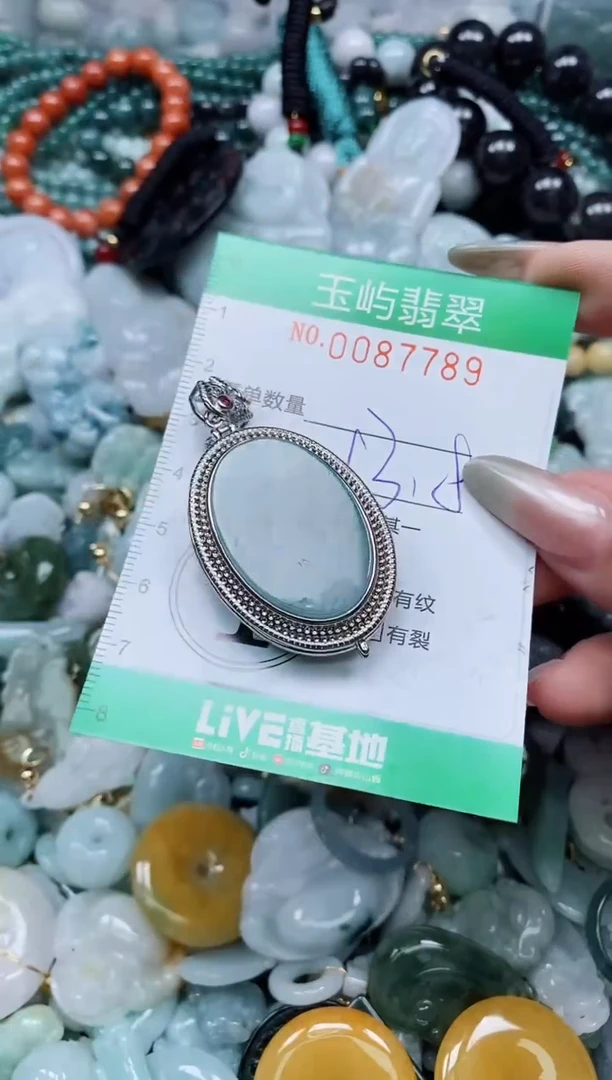 【闪购商品】翡翠颈饰未镶嵌闪购0087789