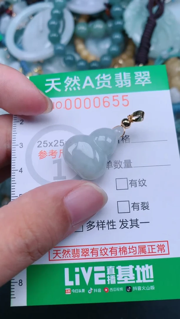 翡翠未镶嵌颈饰.0000655