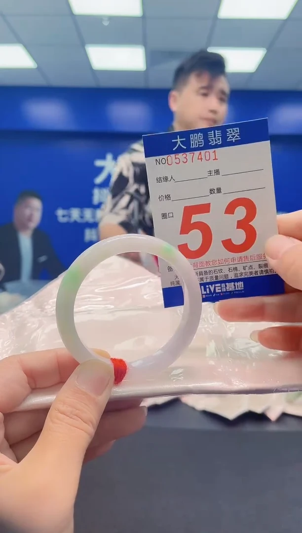 未镶嵌手镯翡翠AAAAAAAAA