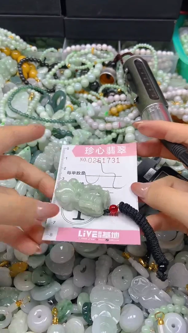 翡翠未镶嵌颈饰闪购0261731