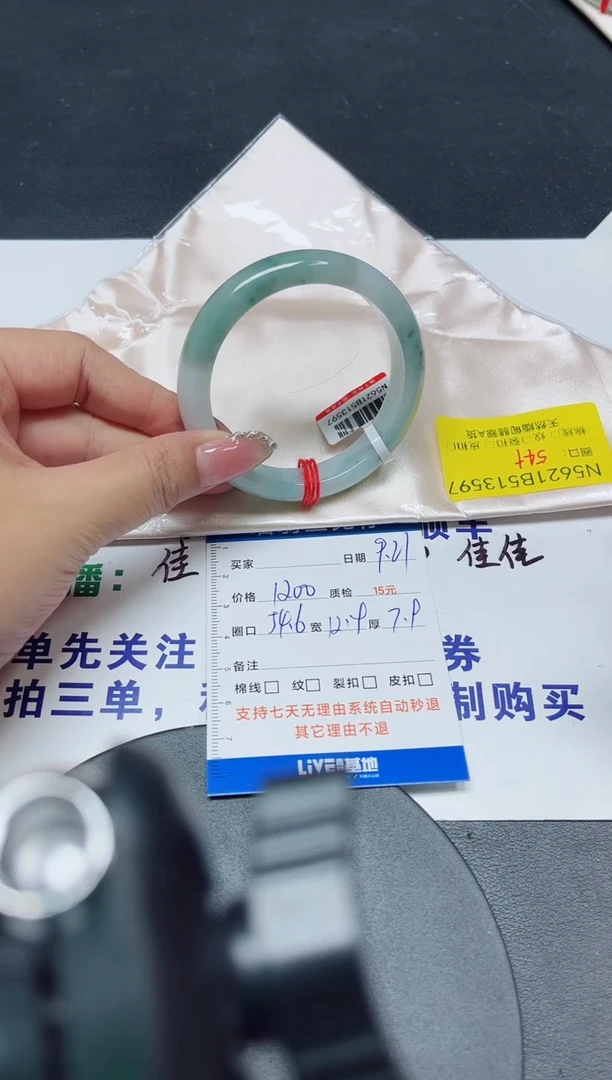 未镶嵌手镯翡翠54.6/13597