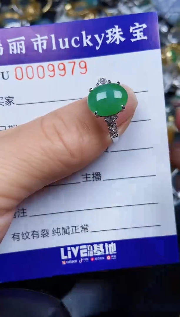 翡翠银S925镶嵌颈饰9979
