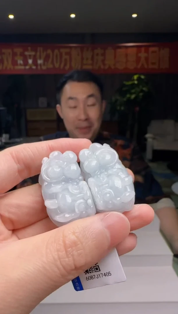 翡翠未镶嵌颈饰多样性发其一对DY@@60B7J17405