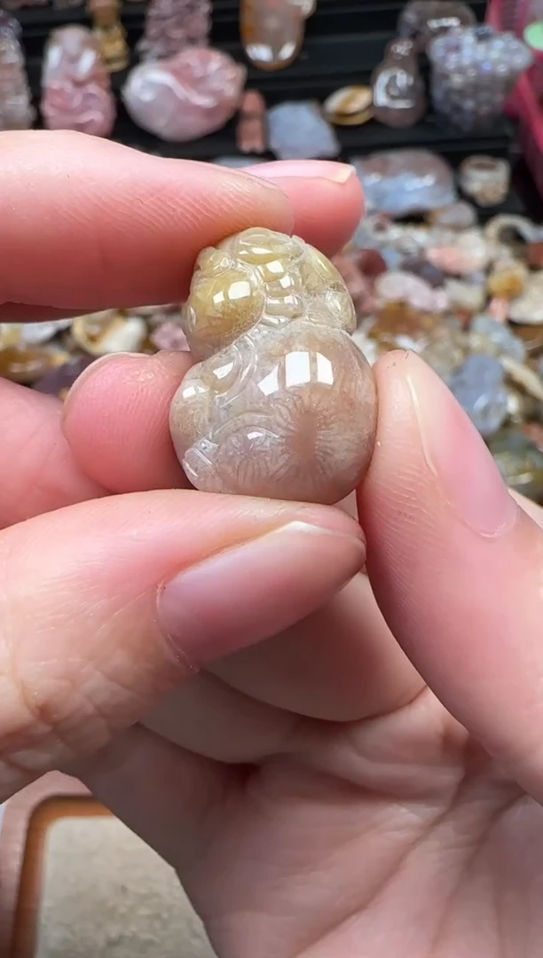颈饰未镶嵌硅化珊瑚（珊瑚玉）338