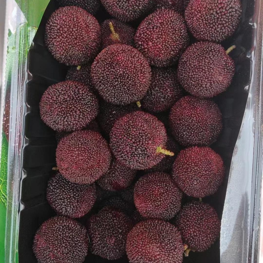 浙江仙居杨梅大果一盒净重约1.5斤新鲜杨梅上海市