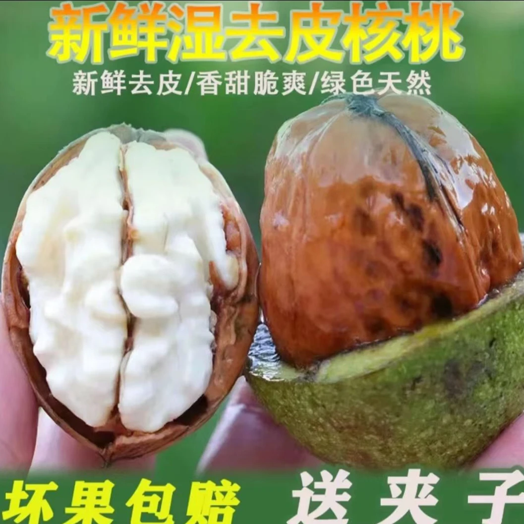 【高山老树核桃】四川大凉山去青皮核桃当季孕妇水果零食生吃核桃