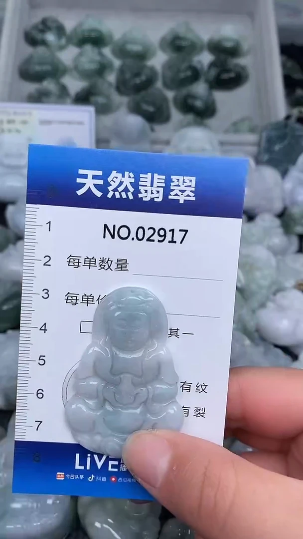 颈饰未镶嵌翡翠纯天然A货翡翠2917