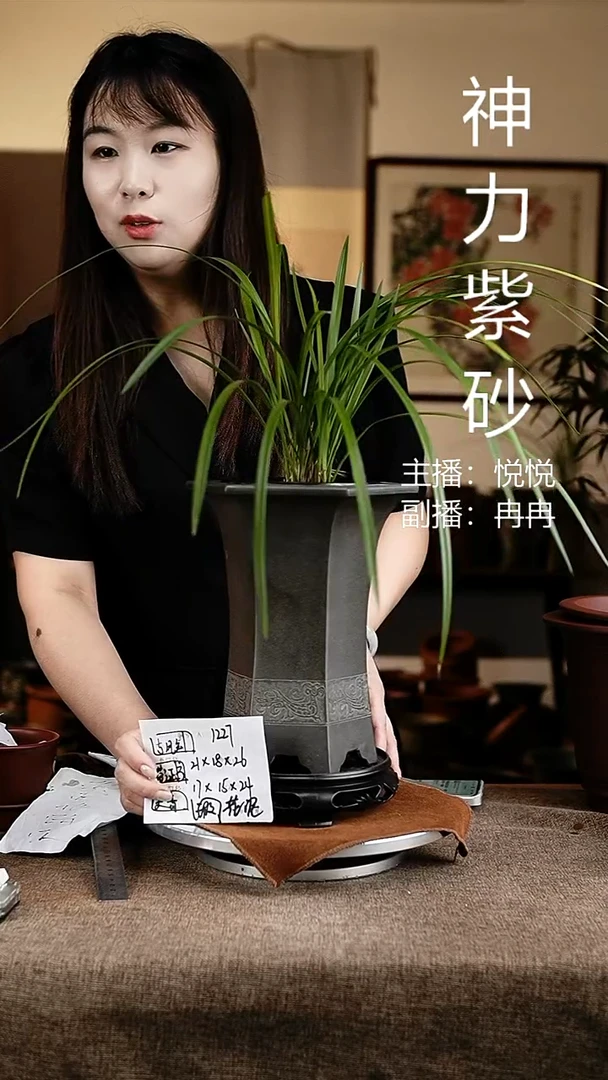 紫砂花盆花卉工艺1227+s微瑕