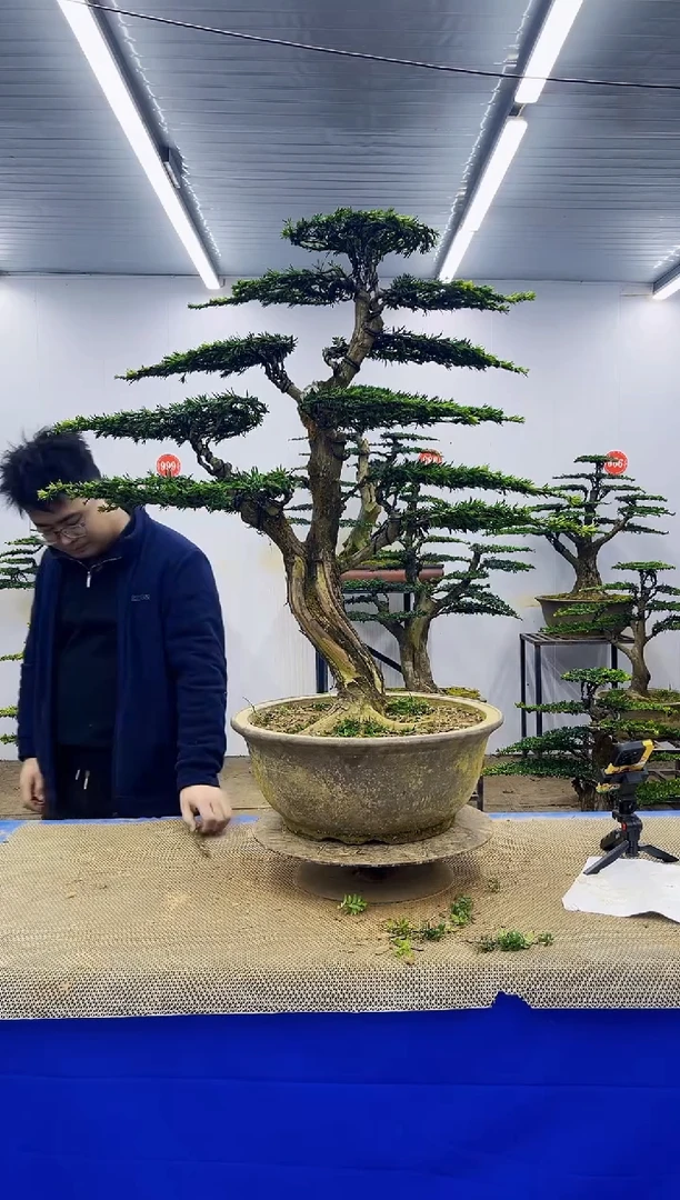 完全开放一物一拍，所见即所得