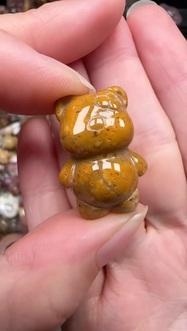 颈饰未镶嵌硅化珊瑚（珊瑚玉）718