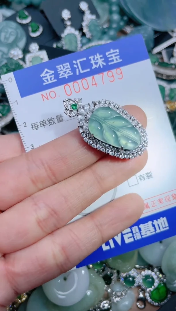 【闪购商品】翡翠颈饰未镶嵌4799........