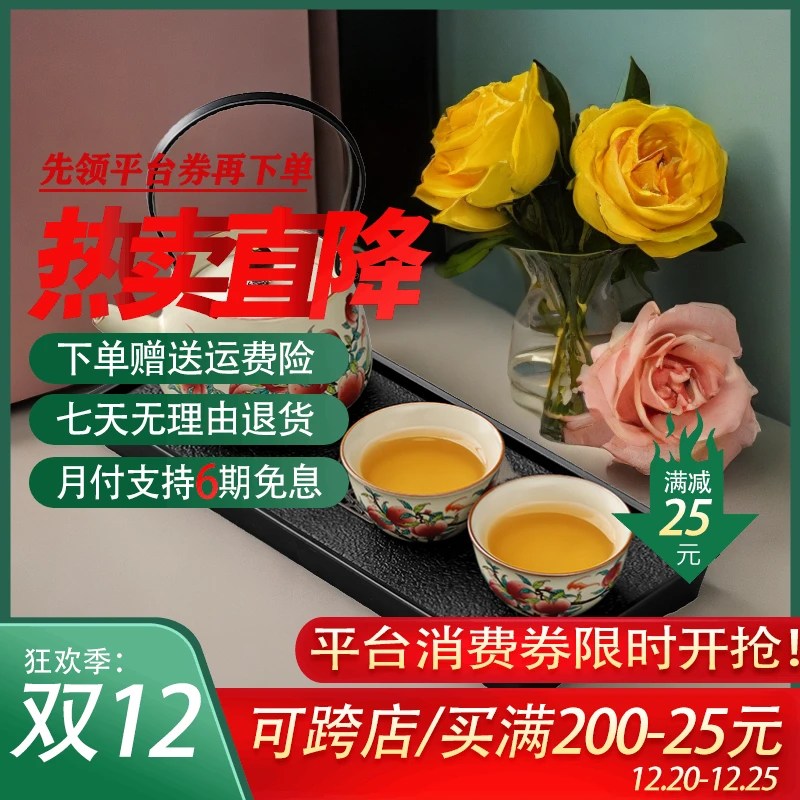 家用茶具套装轻奢会客2025新款泡茶壶茶杯防烫泡茶简约喝茶具套装