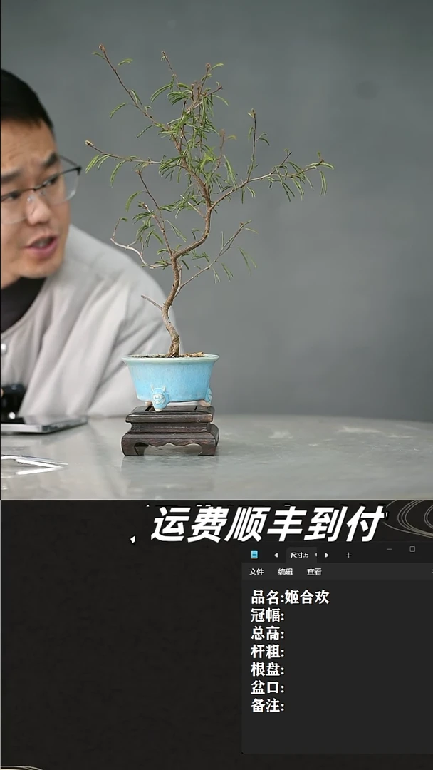 【闪购商品】18  姬合欢