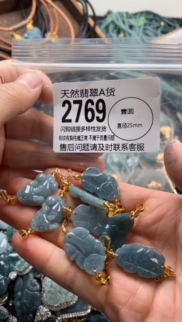 【闪购商品】翡翠颈饰未镶嵌多样性发其一2769