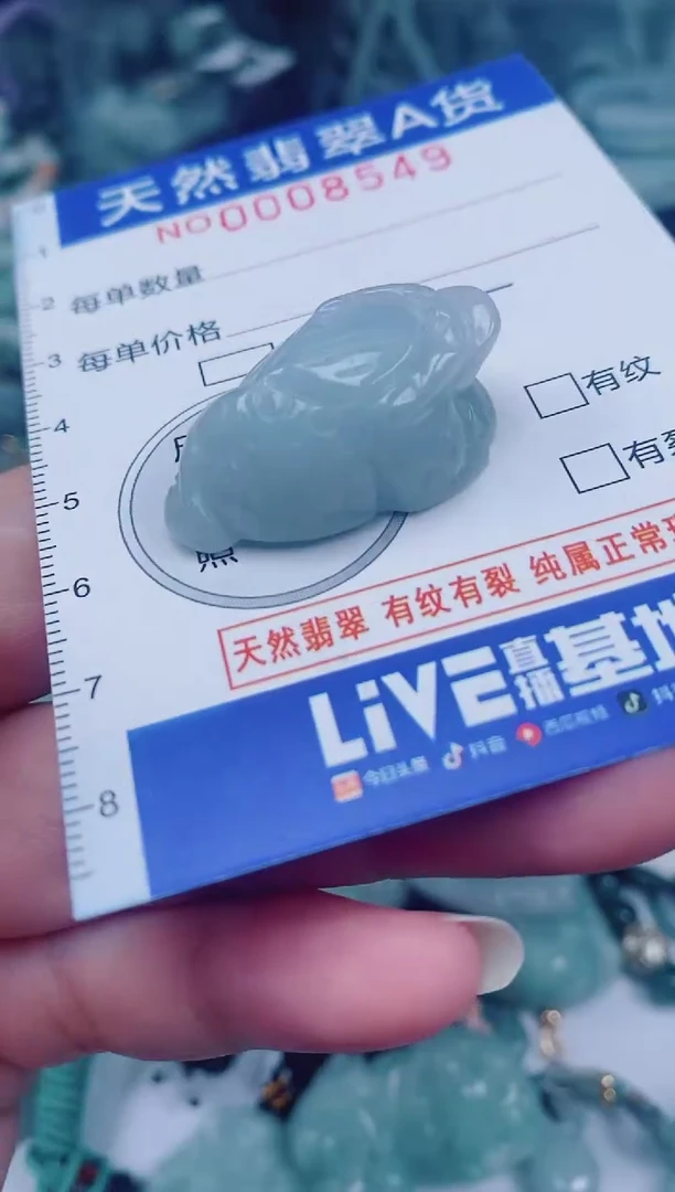 颈饰未镶嵌翡翠00008549