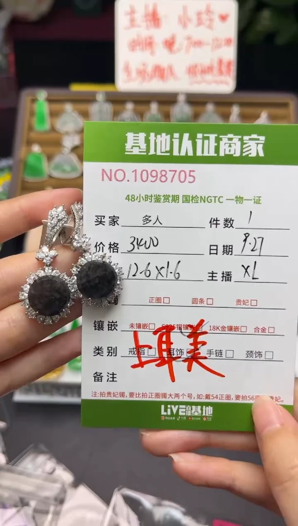 银S925镶嵌翡翠耳饰多人