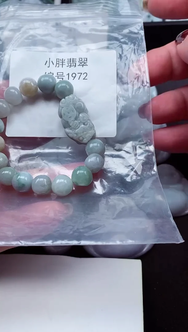 颈饰未镶嵌翡翠缅甸天然A货翡翠1972