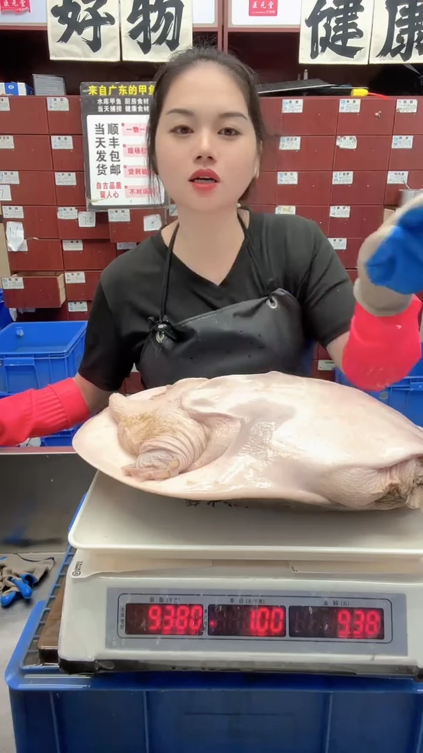 中国大陆.*.5斤一只