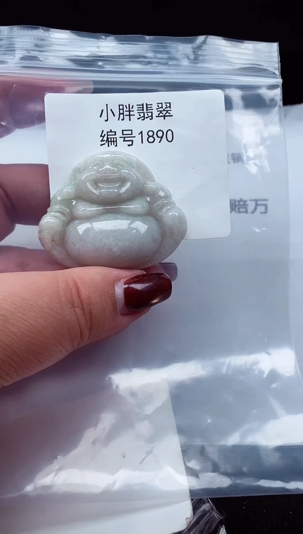颈饰未镶嵌翡翠缅甸天然A货翡翠1890