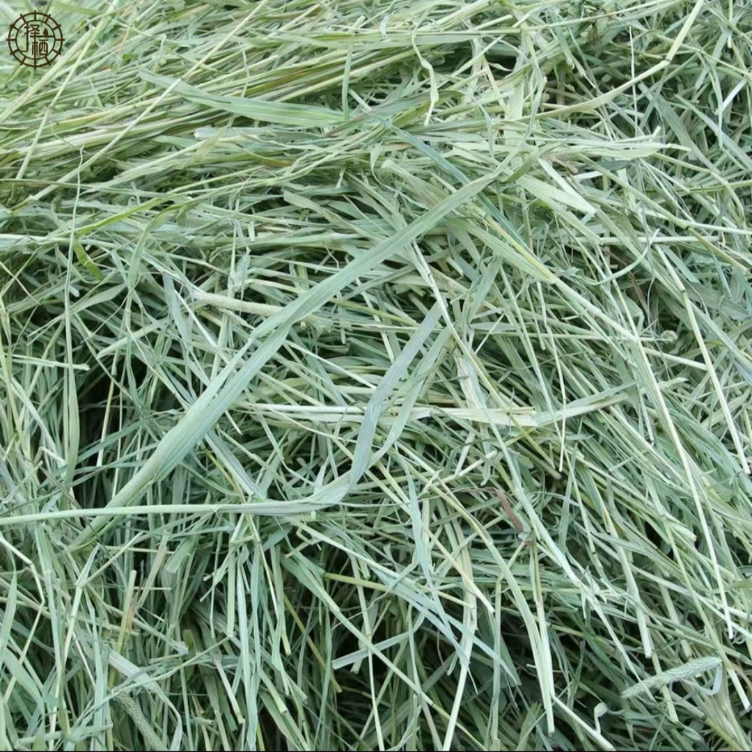 择栖白杨木刨花+各种组合垫料刨花垫料木屑仓鼠仓鼠木屑仓鼠垫料