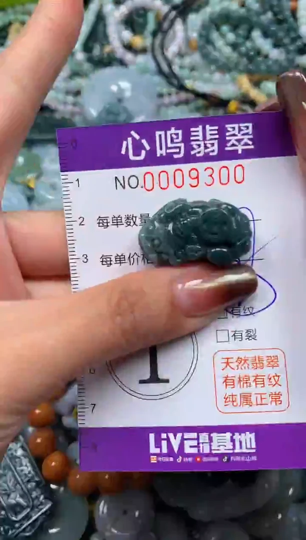 颈饰未镶嵌翡翠闪购009300