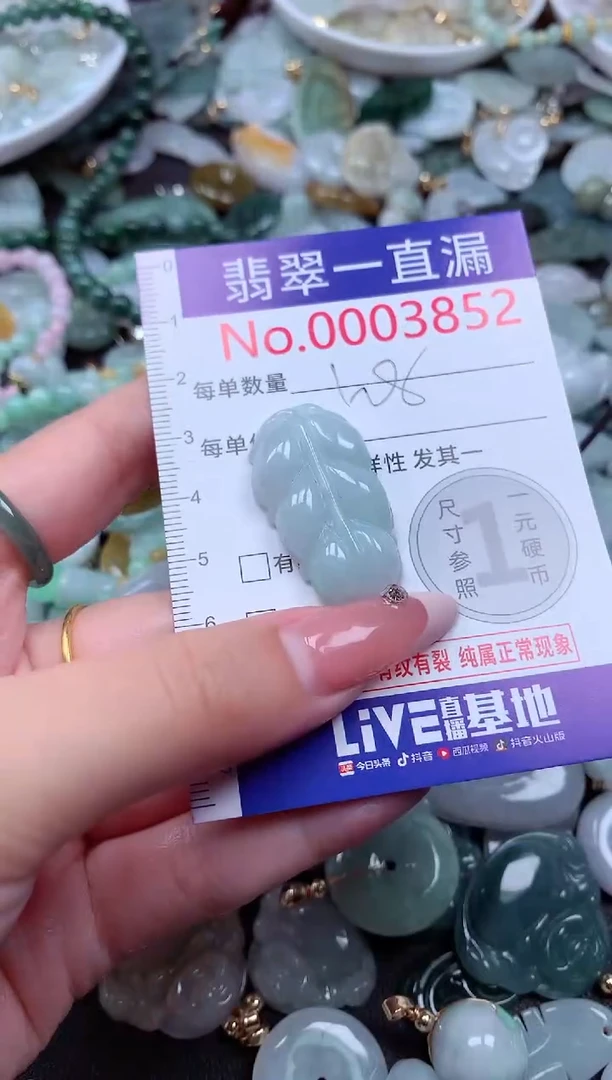 翡翠未镶嵌吊坠(不含链)3852