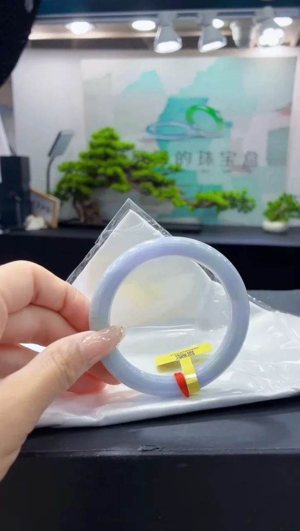 未镶嵌手镯翡翠9