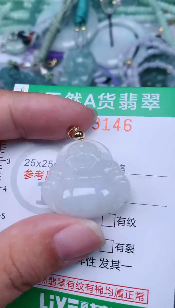翡翠未镶嵌颈饰.0003146