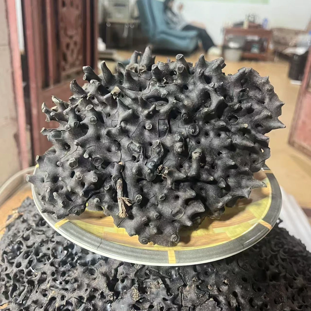 云南深山好物一物一拍