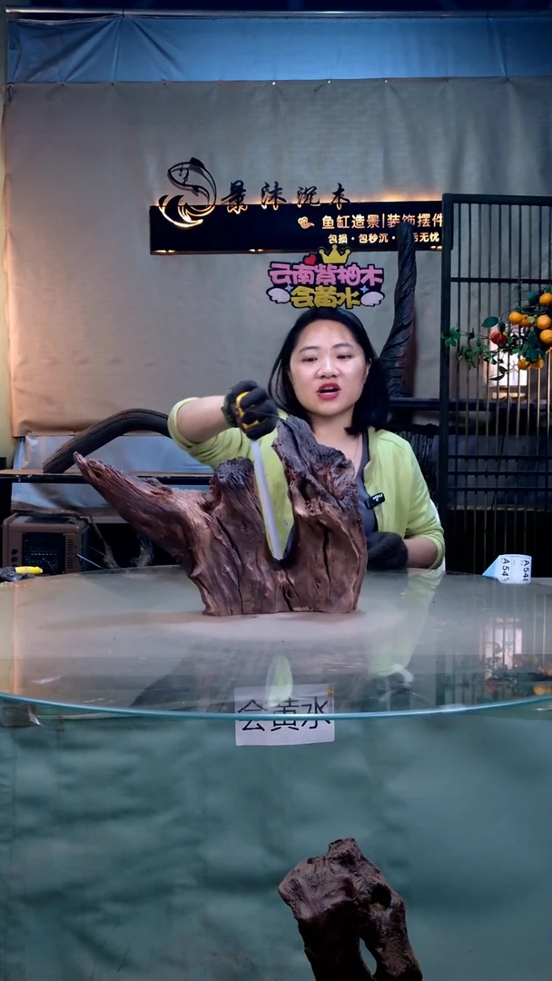 摆件景沐沉木A547 52-13-29