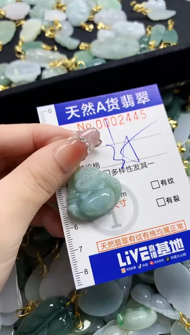 颈饰未镶嵌翡翠天然A货翡翠