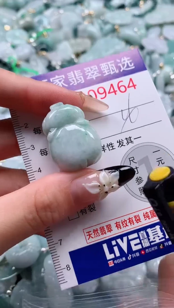 翡翠未镶嵌颈饰9464