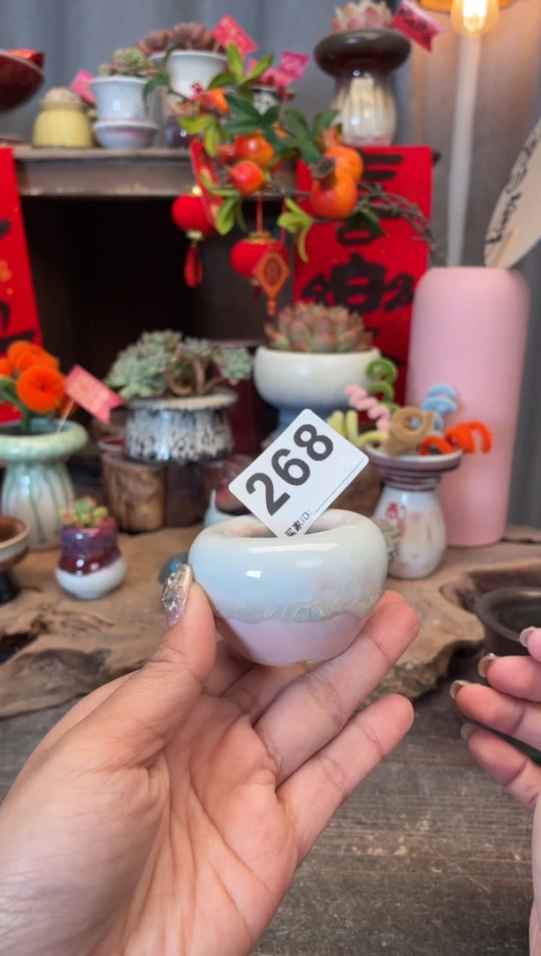 【闪购商品】摆件268知木小芳花盆