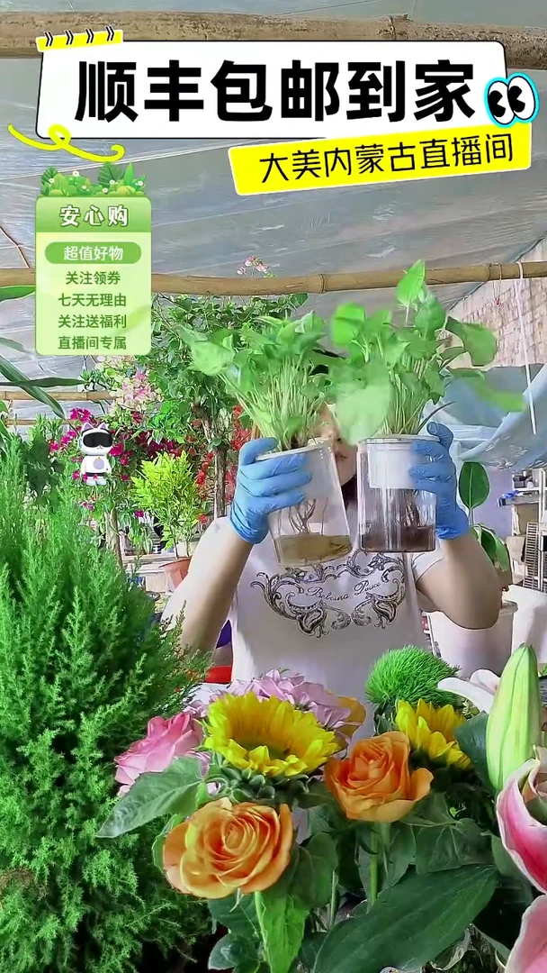 完全开放水培果业于